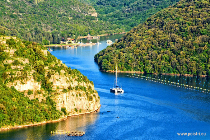 Villa Azzura Heraki - Villa Rental Poreč Sveti Lovreč Pazenatički